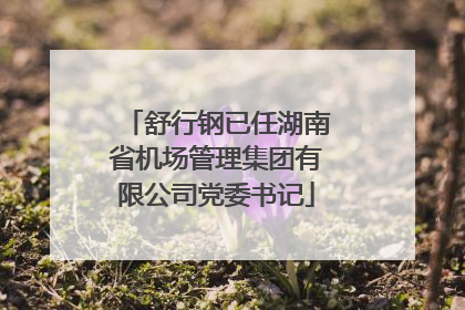 舒行钢已任湖南省机场管理集团有限公司党委书记