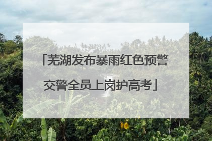 芜湖发布暴雨红色预警 交警全员上岗护高考