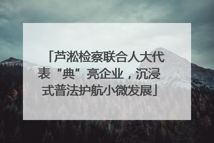 芦淞检察联合人大代表“典”亮企业，沉浸式普法护航小微发展