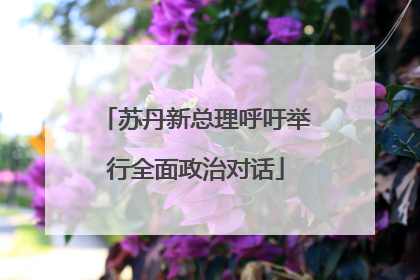 苏丹新总理呼吁举行全面政治对话