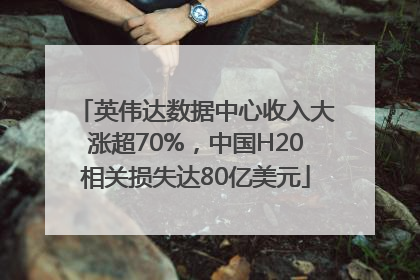 英伟达数据中心收入大涨超70%，中国H20相关损失达80亿美元