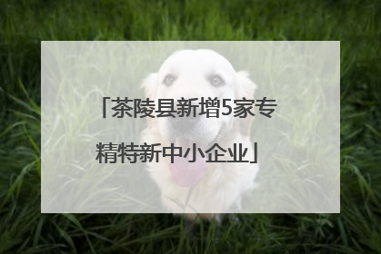 茶陵县新增5家专精特新中小企业
