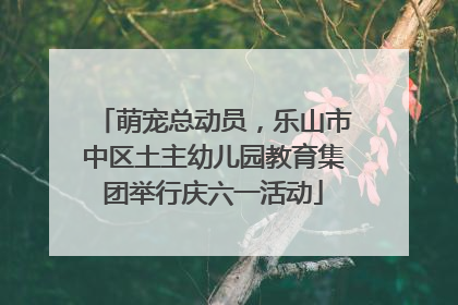 萌宠总动员，乐山市中区土主幼儿园教育集团举行庆六一活动