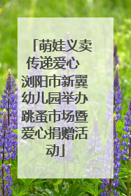 萌娃义卖传递爱心 浏阳市新翼幼儿园举办跳蚤市场暨爱心捐赠活动