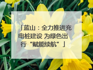 蓝山：全力推进充电桩建设 为绿色出行“赋能续航”