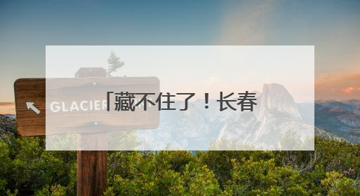 藏不住了！长春街头耐寒月季集体“C位出道”