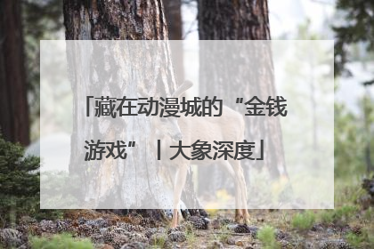 藏在动漫城的“金钱游戏”丨大象深度