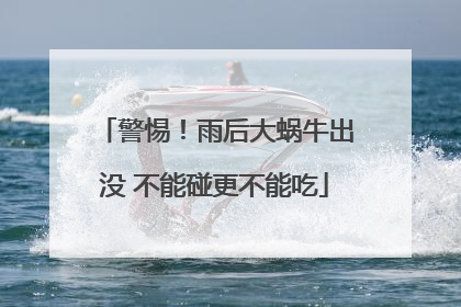 警惕！雨后大蜗牛出没 不能碰更不能吃