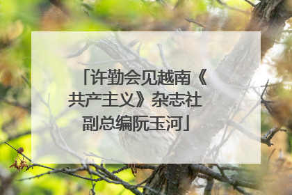 许勤会见越南《共产主义》杂志社副总编阮玉河
