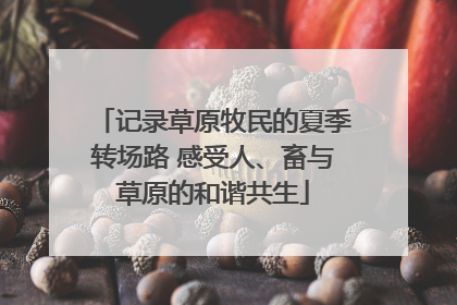 记录草原牧民的夏季转场路 感受人、畜与草原的和谐共生