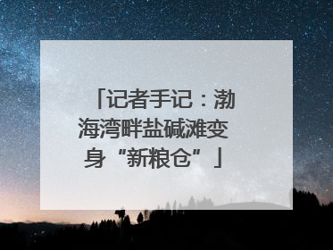 记者手记：渤海湾畔盐碱滩变身“新粮仓”