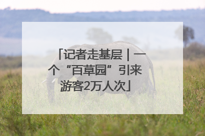 记者走基层｜一个“百草园”引来游客2万人次