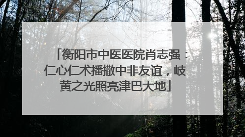 衡阳市中医医院肖志强：仁心仁术播撒中非友谊，岐黄之光照亮津巴大地