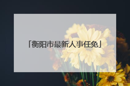 衡阳市最新人事任免