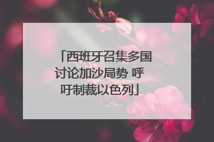 西班牙召集多国讨论加沙局势 呼吁制裁以色列