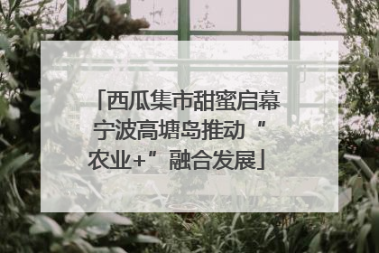 西瓜集市甜蜜启幕 宁波高塘岛推动“农业+”融合发展