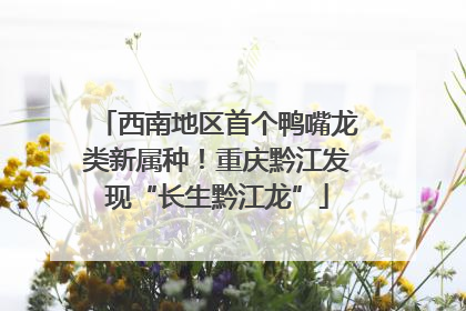 西南地区首个鸭嘴龙类新属种！重庆黔江发现“长生黔江龙”