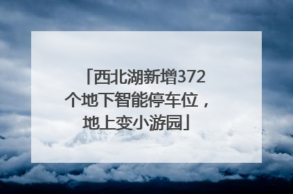 西北湖新增372个地下智能停车位，地上变小游园