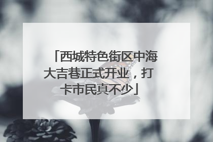 西城特色街区中海大吉巷正式开业，打卡市民真不少