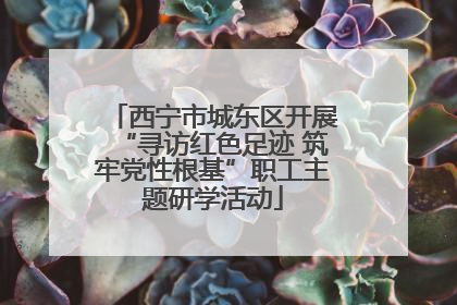 西宁市城东区开展“寻访红色足迹 筑牢党性根基”职工主题研学活动