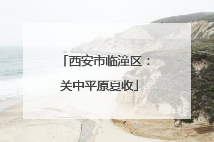 西安市临潼区：关中平原夏收