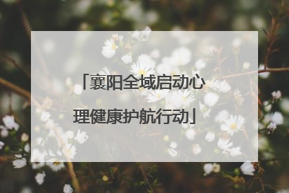襄阳全域启动心理健康护航行动