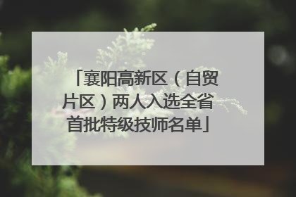 襄阳高新区（自贸片区）两人入选全省首批特级技师名单
