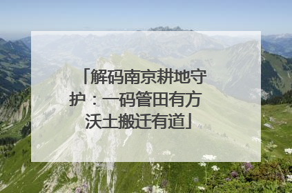 解码南京耕地守护：一码管田有方 沃土搬迁有道