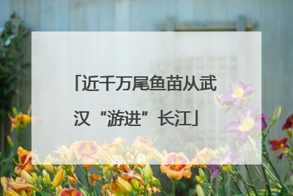 近千万尾鱼苗从武汉“游进”长江