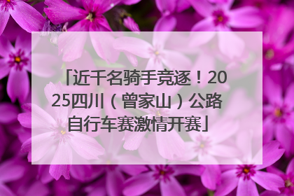 近千名骑手竞逐！2025四川（曾家山）公路自行车赛激情开赛