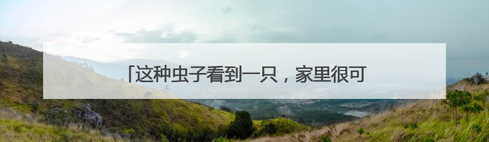 这种虫子看到一只，家里很可能已有一万只（不是蟑螂）