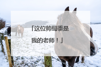 这位帅蜀黍是我的老师！