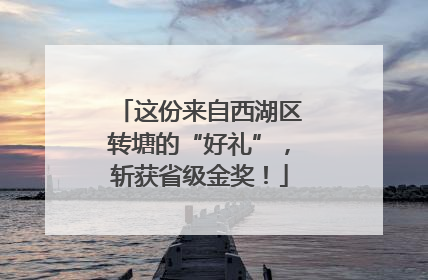 这份来自西湖区转塘的“好礼”，斩获省级金奖！