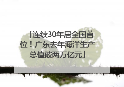 连续30年居全国首位！广东去年海洋生产总值破两万亿元