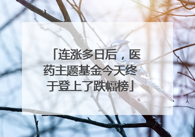 连涨多日后，医药主题基金今天终于登上了跌幅榜