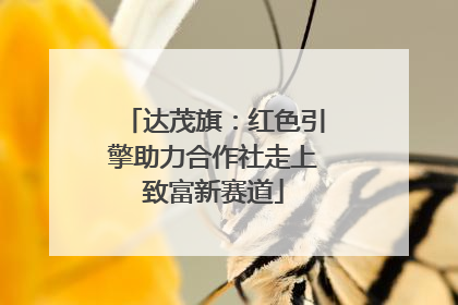 达茂旗：红色引擎助力合作社走上致富新赛道