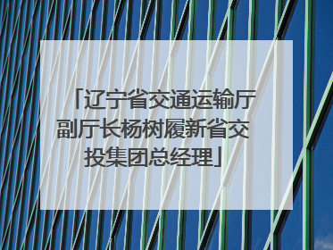 辽宁省交通运输厅副厅长杨树履新省交投集团总经理