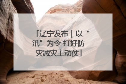 辽宁发布｜以“汛”为令 打好防灾减灾主动仗