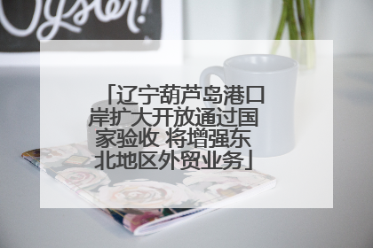 辽宁葫芦岛港口岸扩大开放通过国家验收 将增强东北地区外贸业务