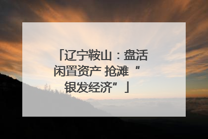 辽宁鞍山：盘活闲置资产 抢滩“银发经济”