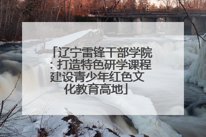 辽宁雷锋干部学院：打造特色研学课程 建设青少年红色文化教育高地