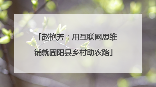 赵艳芳：用互联网思维铺就固阳县乡村助农路
