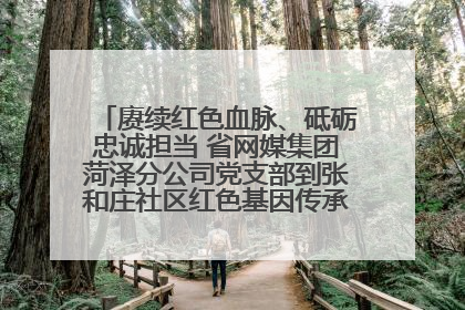 赓续红色血脉、砥砺忠诚担当 省网媒集团菏泽分公司党支部到张和庄社区红色基因传承馆开展主题党日活动