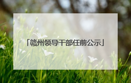 赣州领导干部任前公示