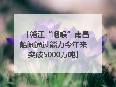 赣江“咽喉”南昌船闸通过能力今年来突破5000万吨