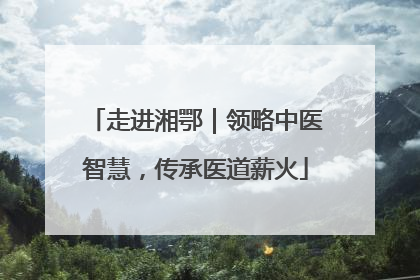 走进湘鄂｜领略中医智慧，传承医道薪火
