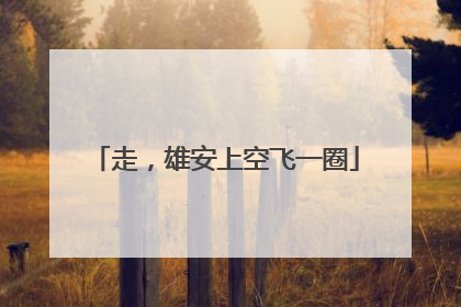 走，雄安上空飞一圈