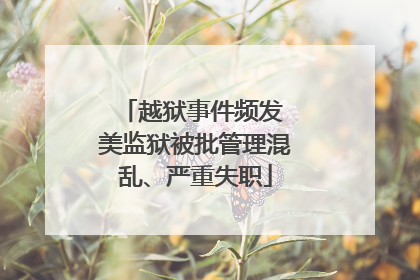 越狱事件频发 美监狱被批管理混乱、严重失职