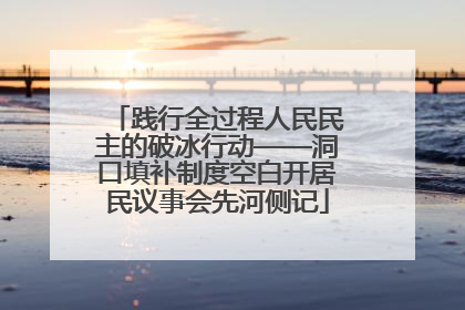 践行全过程人民民主的破冰行动——洞口填补制度空白开居民议事会先河侧记
