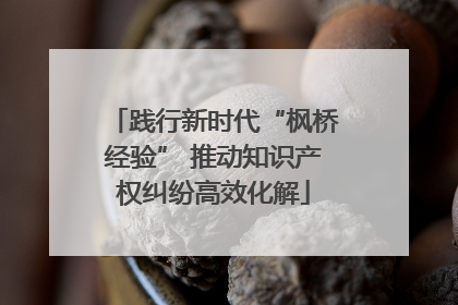 践行新时代“枫桥经验” 推动知识产权纠纷高效化解